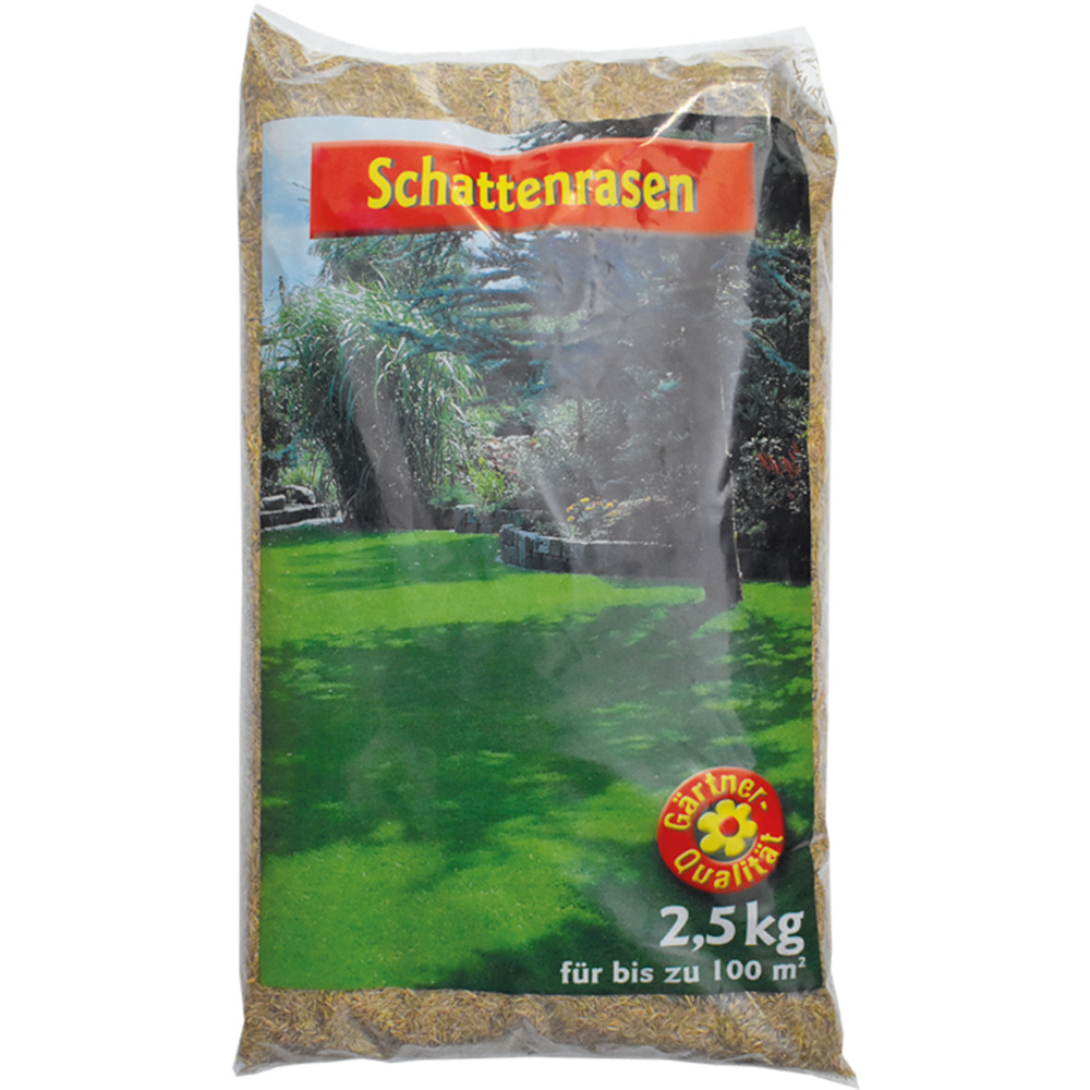Schattenrasen Samen 2,5 kg Saatgut f&uuml;r 100 m&sup2;
