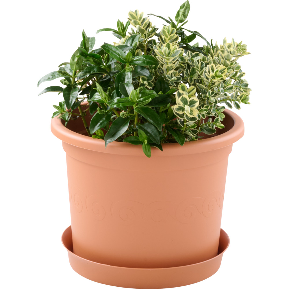 Prosperplast Pflanztopf Plastica rund 40 cm terracotta image number 1