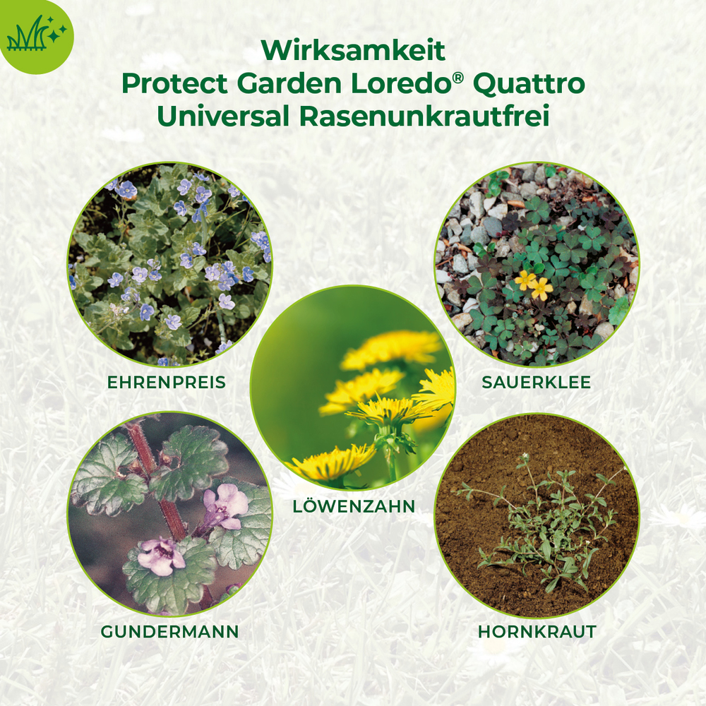 Protect Garden&reg; Loredo&reg; Quattro Universal-Rasenunkrautfrei 400 ml image number 3