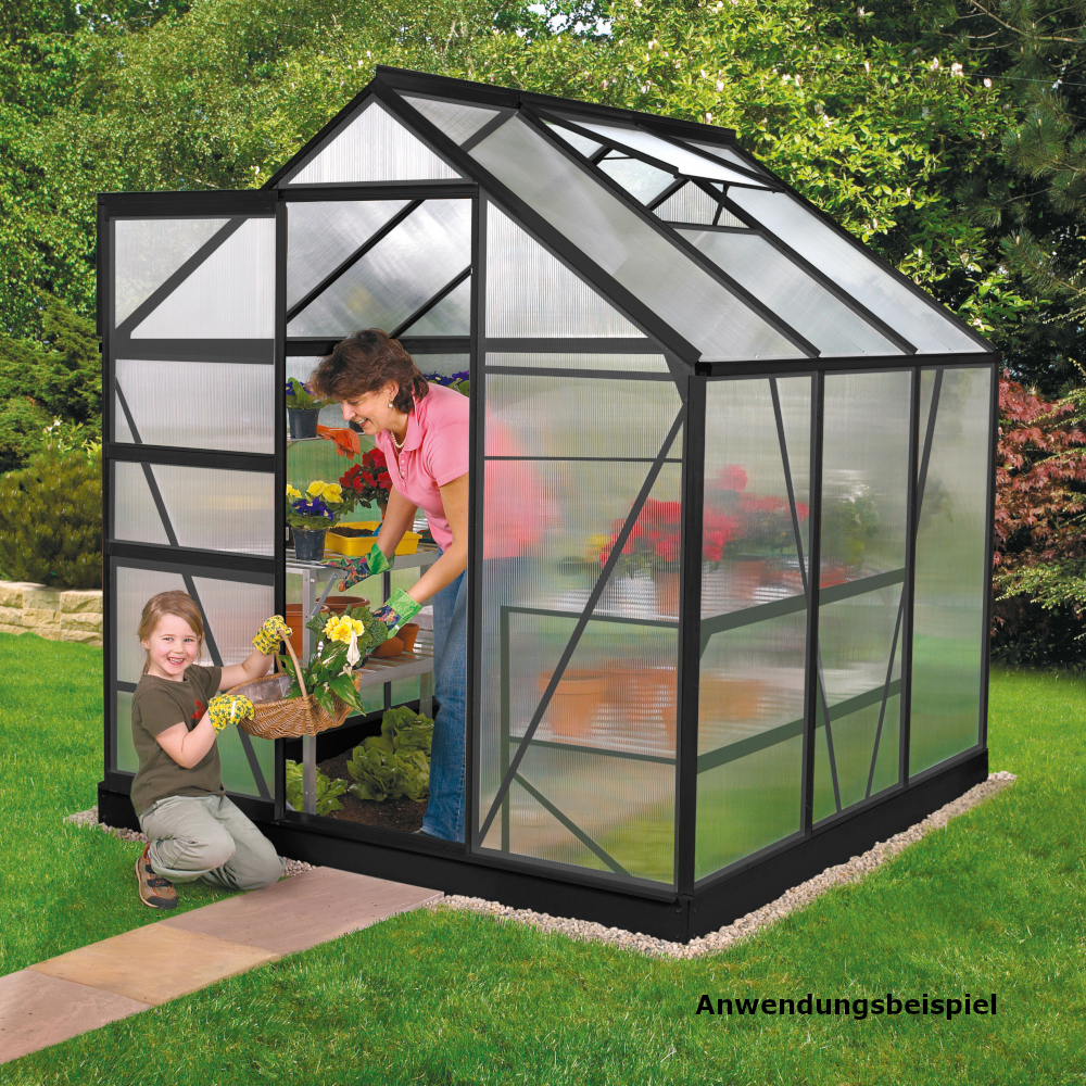 Vitavia Gew&auml;chshaus "Venus" 3800 HKP 4 mm schwarz