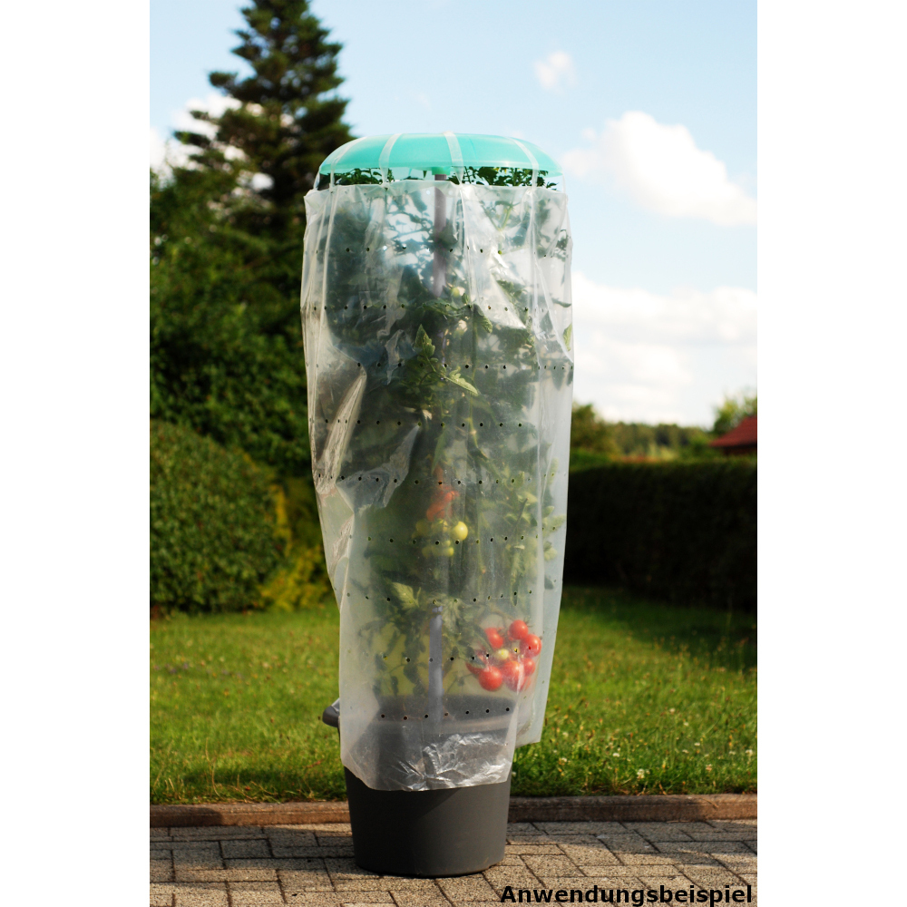 Tomatenhaube aus Kunststoff mit Stab und Schutzfolie - B-Ware image number 5