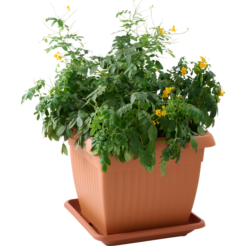 Prosperplast Pflanztopf Terra 45 x 45 cm terracotta image number 1