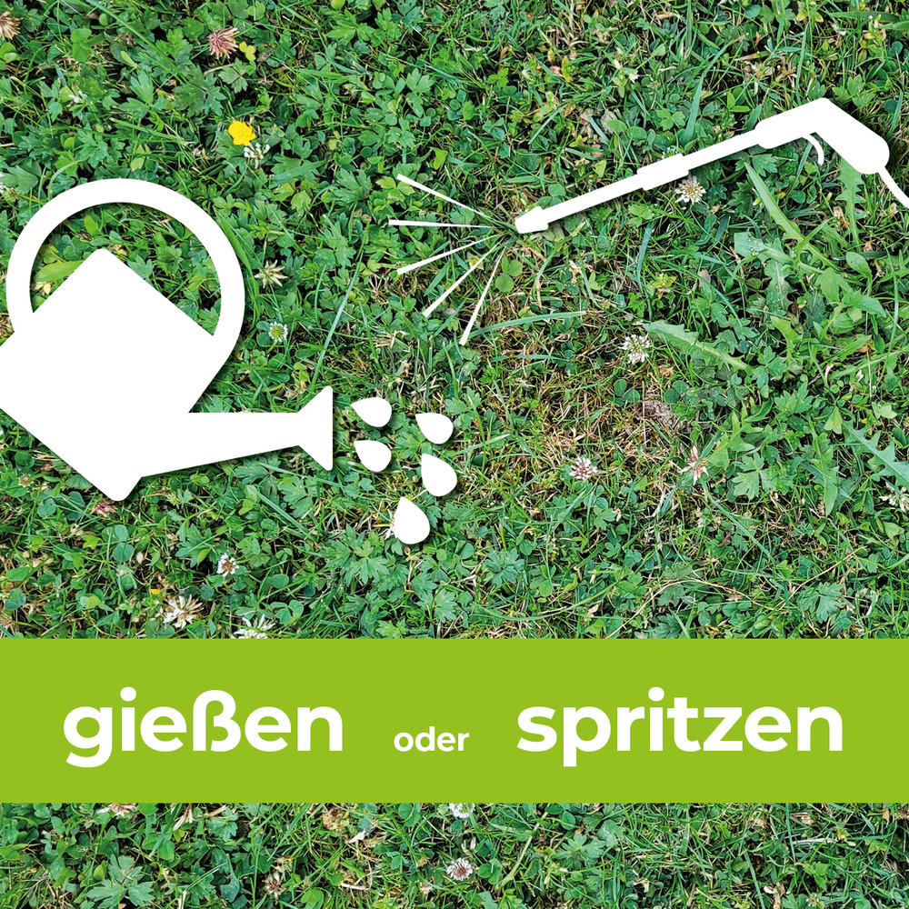 Protect Garden&reg; Loredo&reg; Quattro Universal-Rasenunkrautfrei 400 ml image number 4