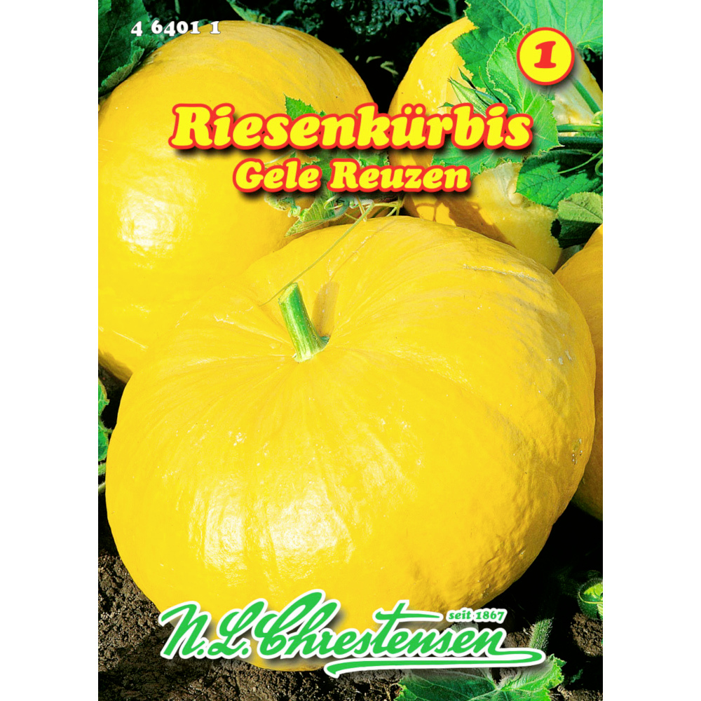 Saatgut Riesenk&uuml;rbis gelb ca. 3 &ndash; 5 Pflanzen