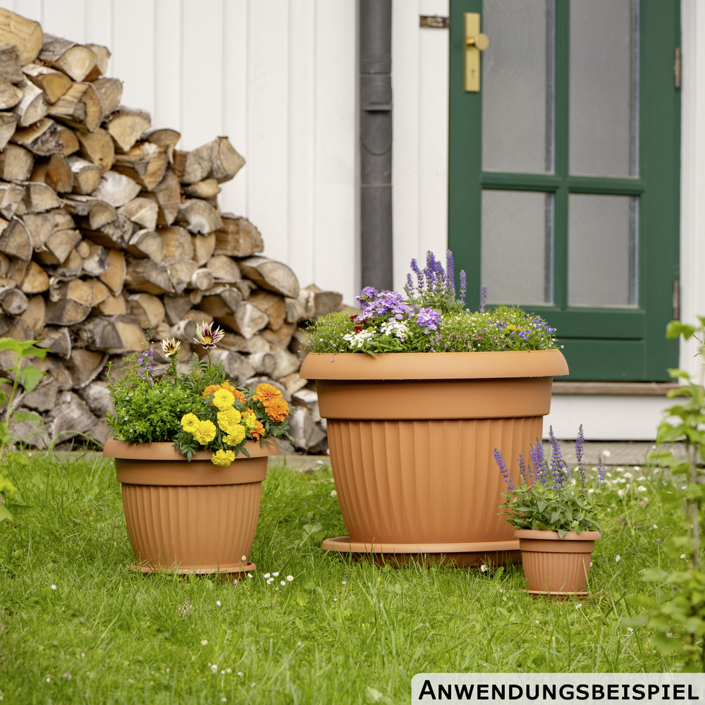 Prosperplast Pflanztopf Terra rund 64 cm terracotta image number 3