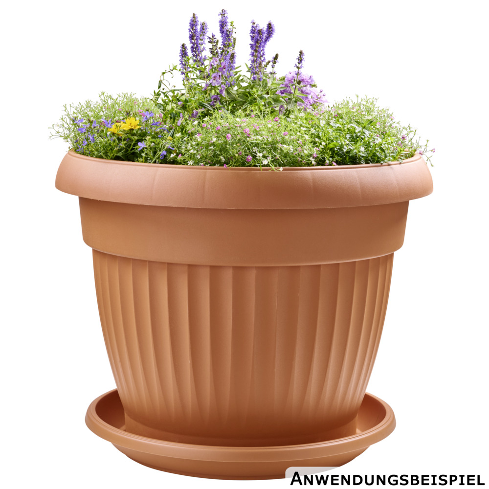 Prosperplast Pflanztopf Terra rund 64 cm terracotta image number 2