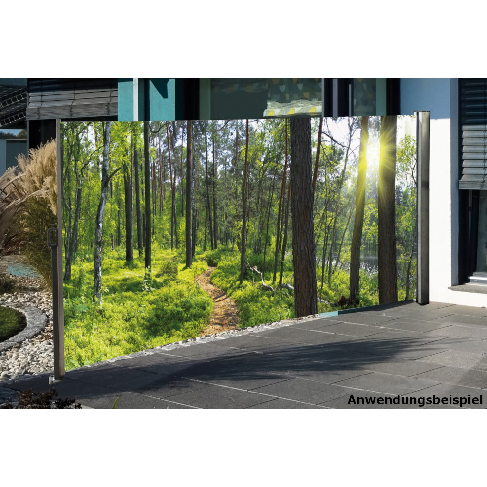 Seitenmarkise 3 x 1,6 m mit Auszug links und Fotodruck &bdquo;Waldlichtung&ldquo; rechts